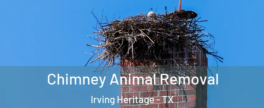 Chimney Animal Removal Irving Heritage - TX