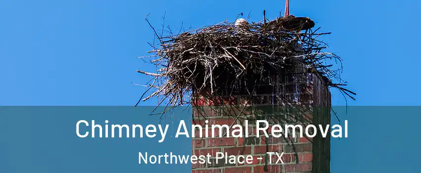 Chimney Animal Removal Northwest Place - TX