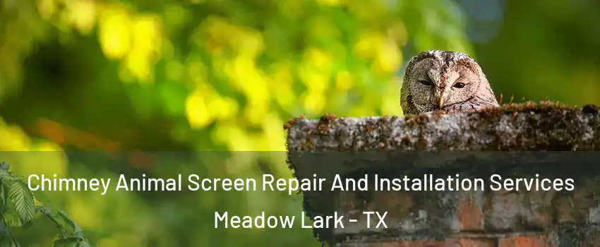 Chimney Animal Screen Repair And Installation Services Meadow Lark - TX