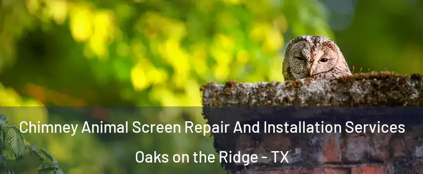 Chimney Animal Screen Repair And Installation Services Oaks on the Ridge - TX