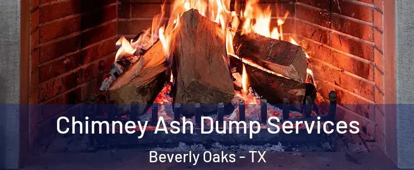 Chimney Ash Dump Services Beverly Oaks - TX