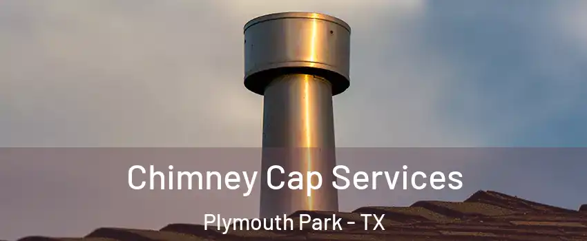 Chimney Cap Services Plymouth Park - TX