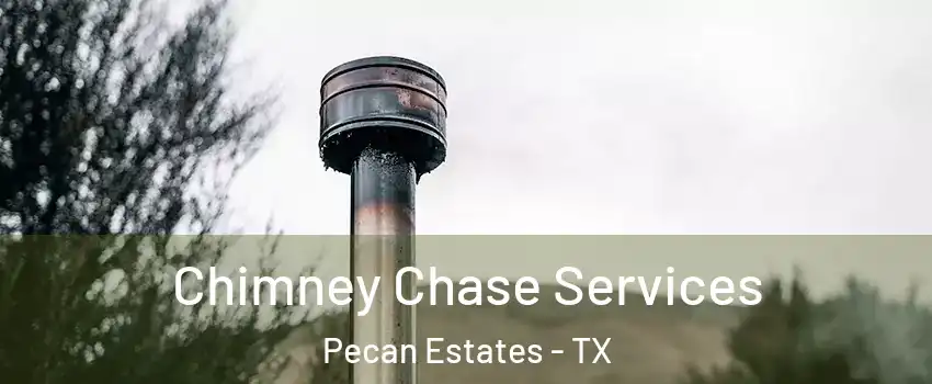 Chimney Chase Services Pecan Estates - TX
