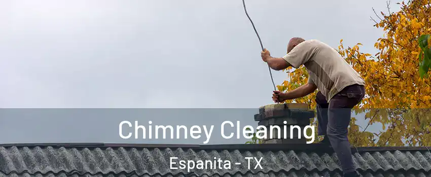 Chimney Cleaning Espanita - TX