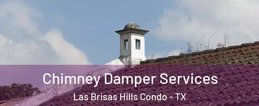 Chimney Damper Services Las Brisas Hills Condo - TX
