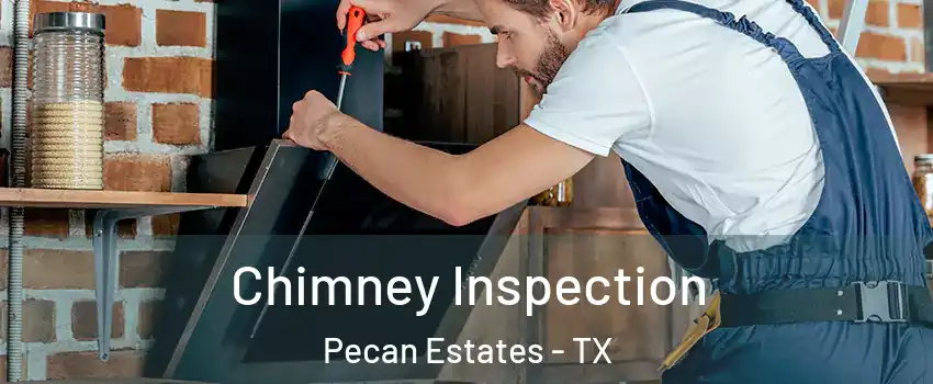 Chimney Inspection Pecan Estates - TX