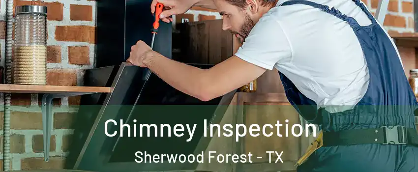 Chimney Inspection Sherwood Forest - TX