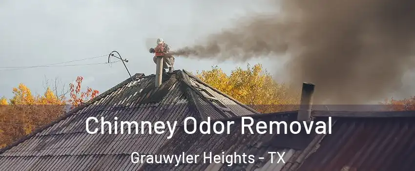 Chimney Odor Removal Grauwyler Heights - TX