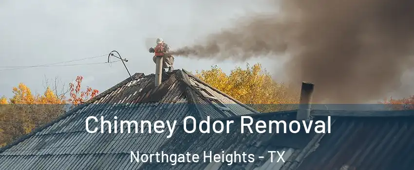 Chimney Odor Removal Northgate Heights - TX