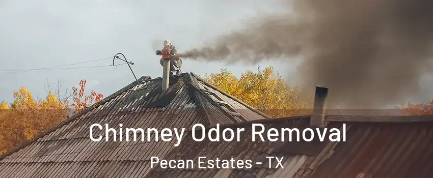 Chimney Odor Removal Pecan Estates - TX