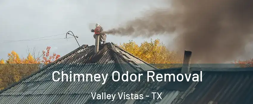 Chimney Odor Removal Valley Vistas - TX
