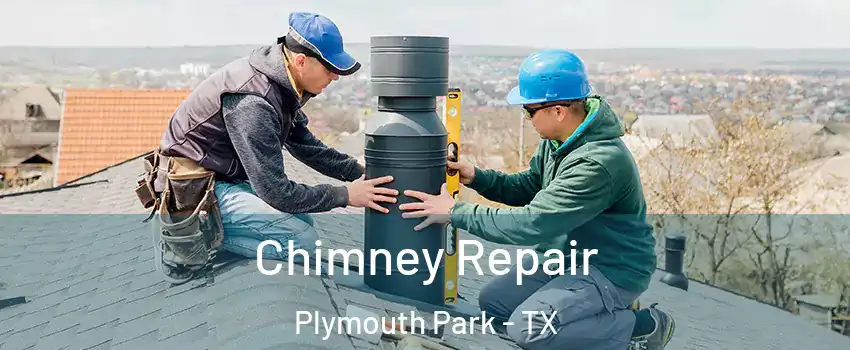 Chimney Repair Plymouth Park - TX