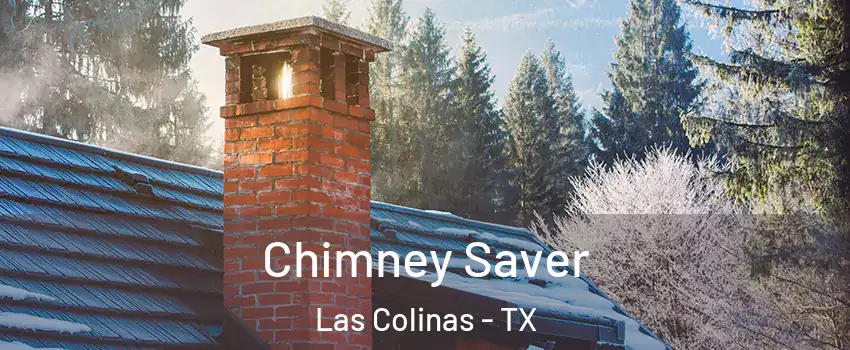 Chimney Saver Las Colinas - TX