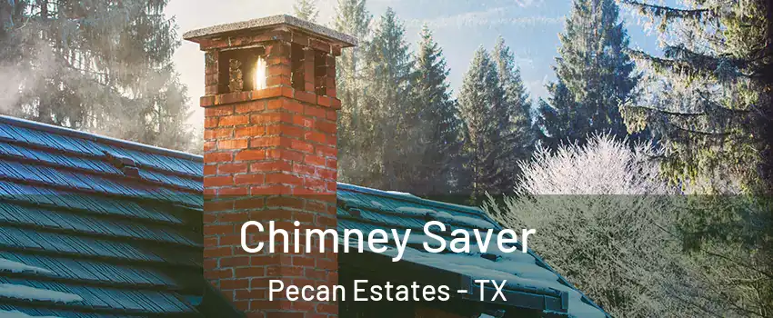 Chimney Saver Pecan Estates - TX