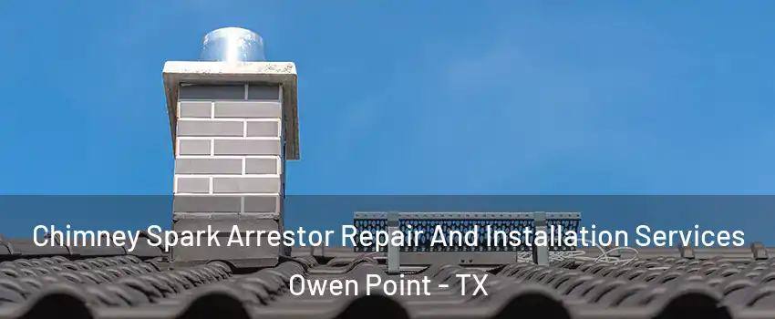Chimney Spark Arrestor Repair And Installation Services Owen Point - TX