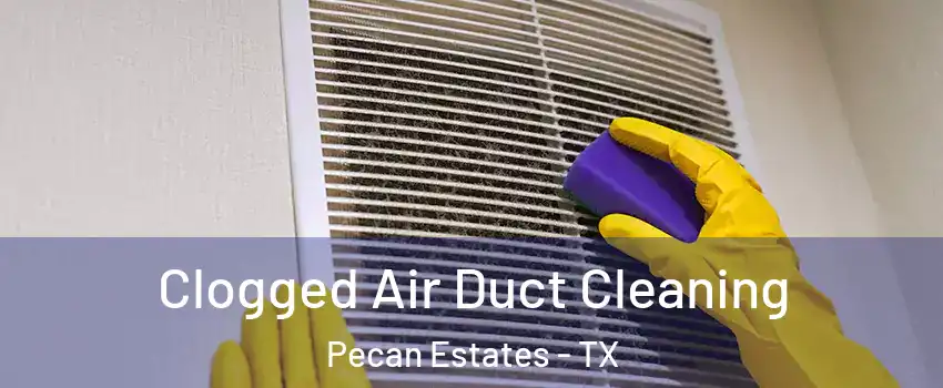 Clogged Air Duct Cleaning Pecan Estates - TX