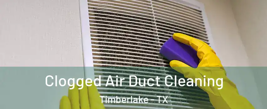 Clogged Air Duct Cleaning Timberlake - TX