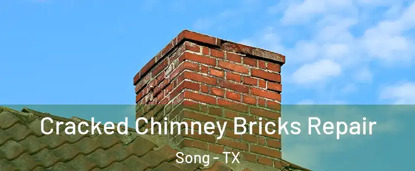 Cracked Chimney Bricks Repair Song - TX
