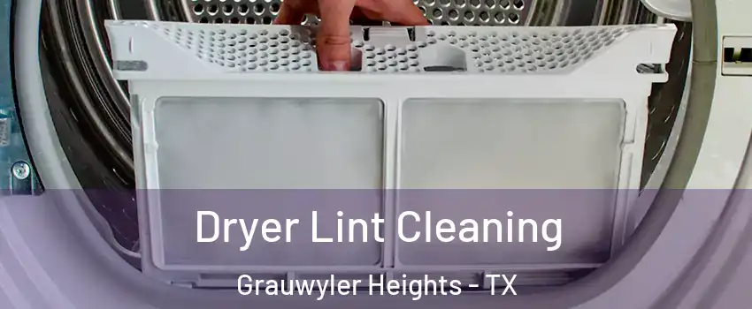 Dryer Lint Cleaning Grauwyler Heights - TX