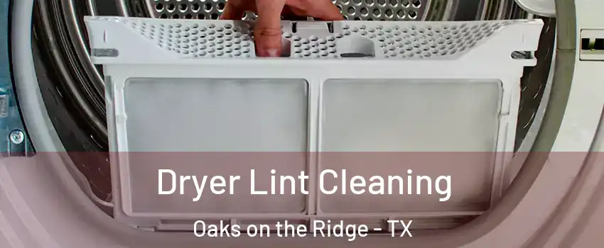 Dryer Lint Cleaning Oaks on the Ridge - TX