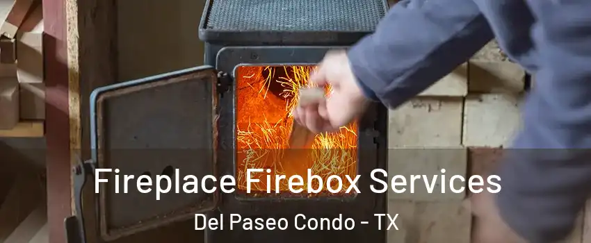 Fireplace Firebox Services Del Paseo Condo - TX