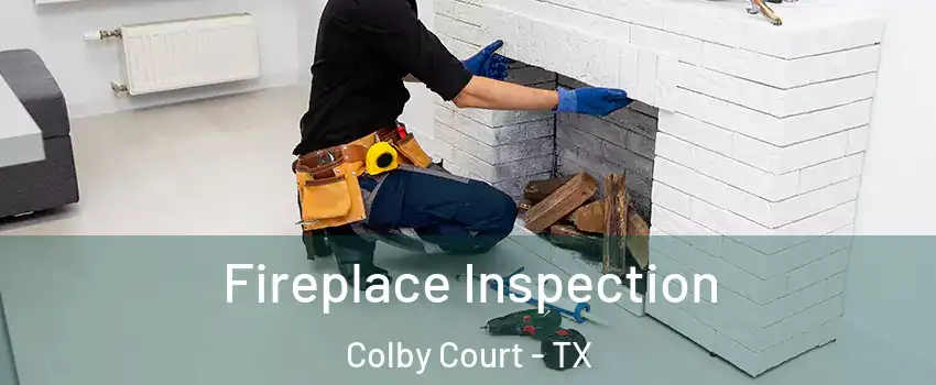 Fireplace Inspection Colby Court - TX