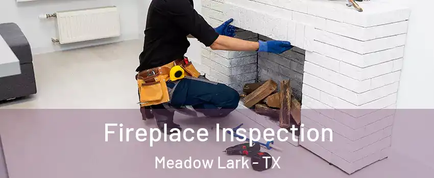 Fireplace Inspection Meadow Lark - TX