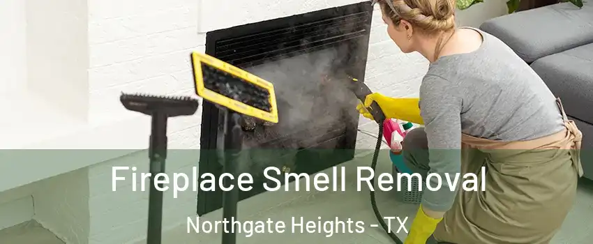 Fireplace Smell Removal Northgate Heights - TX