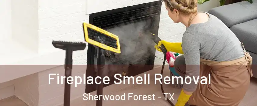 Fireplace Smell Removal Sherwood Forest - TX