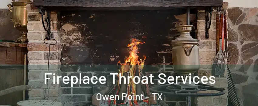 Fireplace Throat Services Owen Point - TX