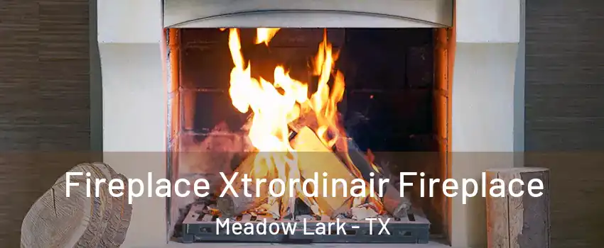 Fireplace Xtrordinair Fireplace Meadow Lark - TX