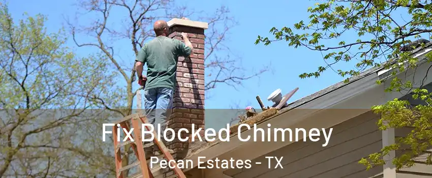Fix Blocked Chimney Pecan Estates - TX