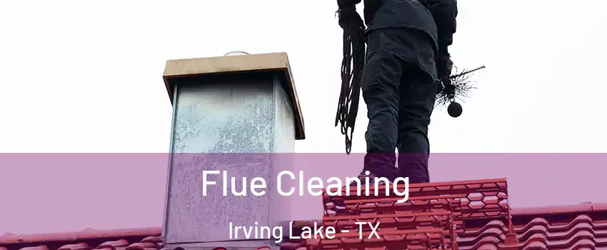 Flue Cleaning Irving Lake - TX