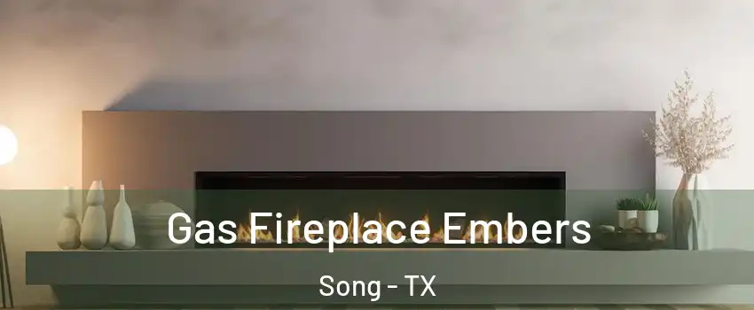 Gas Fireplace Embers Song - TX