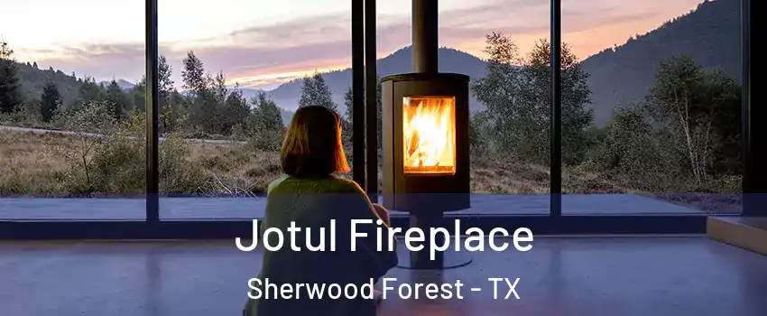 Jotul Fireplace Sherwood Forest - TX