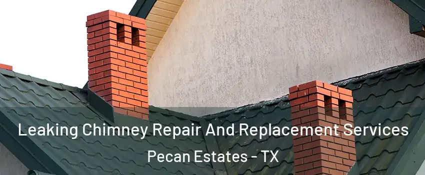Leaking Chimney Repair And Replacement Services Pecan Estates - TX