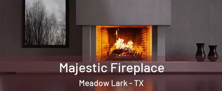 Majestic Fireplace Meadow Lark - TX