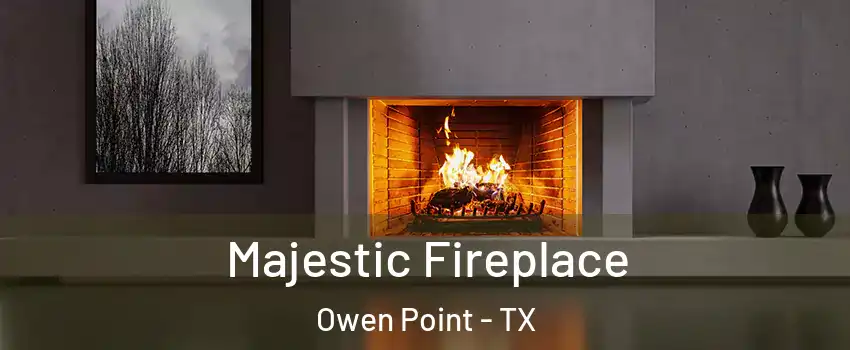 Majestic Fireplace Owen Point - TX