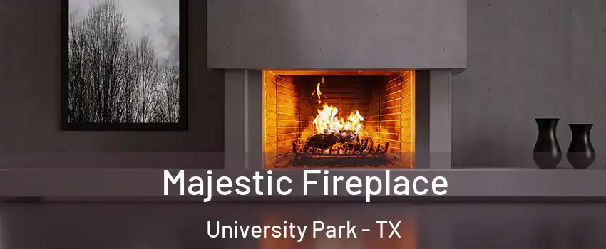 Majestic Fireplace University Park - TX