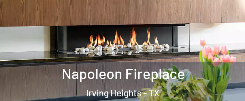 Napoleon Fireplace Irving Heights - TX