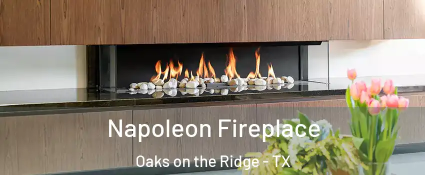 Napoleon Fireplace Oaks on the Ridge - TX